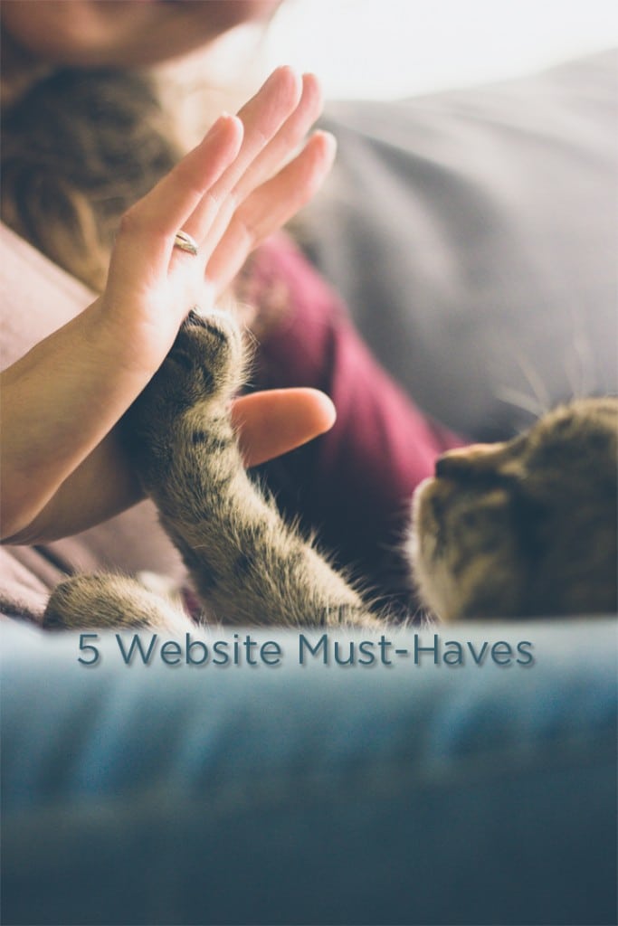 5 Website Must-Haves