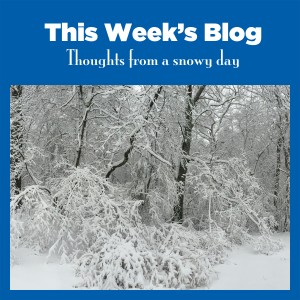 THOUGHTS-FROM-A-SNOWY-DAY-900