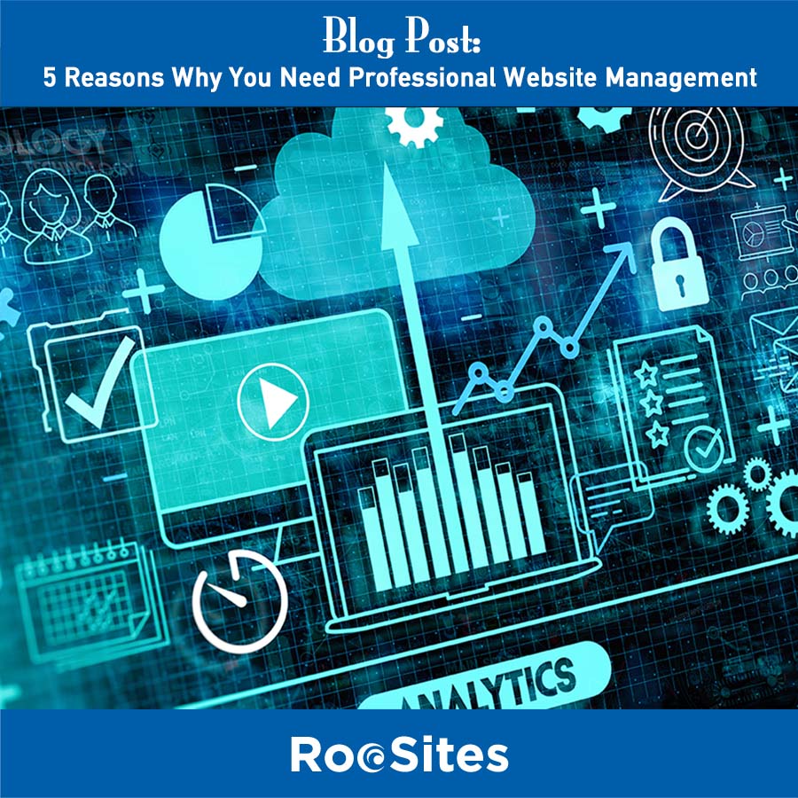 BLOG POST 5 Reasons Why You Need Professional Website Management web