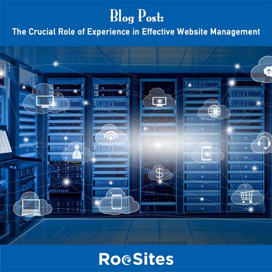 Blog Post The Crucial Role of Experience in Effective Website Management Web